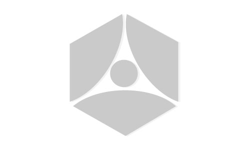 Относно съгласуването на Плана за действие по Националната стратегия за Продължаващо професионално обучение 2005 – 2010