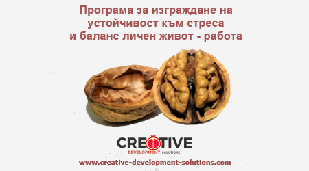 Корпоративна програма