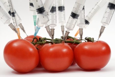 Народното събрание прие окончателно глобите за фуражи с ГМО