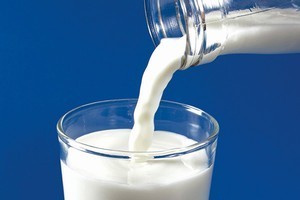 България лидер по изкупено мляко в ЕС