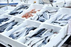 Предприятие за преработка на риба ще работи в Айтос