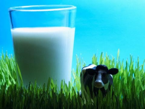 Глоби за сделки с мляко без договор