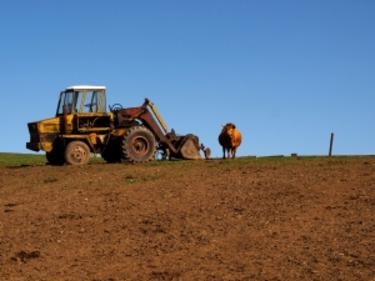 Удължава се с една година срокът за инвестиране на преотстъпения данък по „Помощ за инвестиции в земеделските стопанства чрез преотстъпване на корпоративен данък”