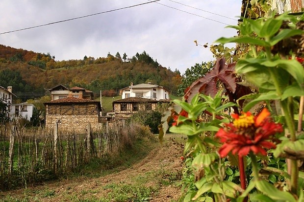 България губи 51 млн. евро за селските райони