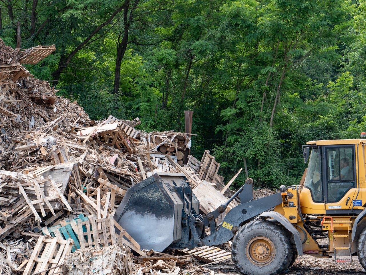 Близо 500 млн. дръвчета спасени с помощта на рециклиране