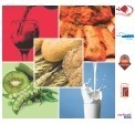 МЕСОМАНИЯ, СВЕТЪТ НА МЛЯКОТО, БУЛПЕК, САЛОН НА ВИНОТО и ИНТЕРФУД & ДРИНК