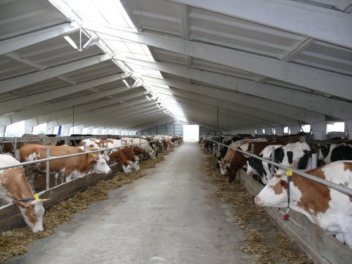 Животновъдите сезират Брюксел за нарушения при производството на млечни продукти у нас