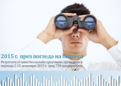 2015 Г. ПРЕЗ ПОГЛЕДА НА БИЗНЕСА