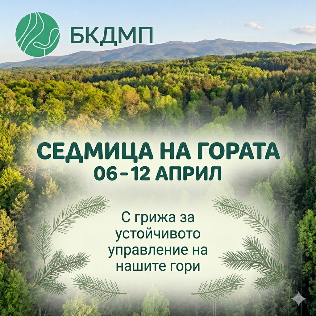 Отбелязваме Седмицата на гората за 101-ви път с увеличени територии и запас